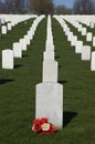 Veterans Cemetery, Memorial Day, National Holiday