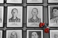 Victims of Auschwitz