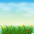 A View Of Nature With Blooming...