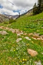 View to the foothills of the caucasus mountains near arkhyz over flowe field karachay cherkessia russia Royalty Free Stock Photography