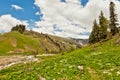 View to snow on caucasus mountains near arkhyz the foothills of the over flowers field and stream karachay cherkessia russia Royalty Free Stock Images