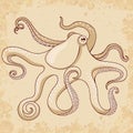 Vintage octopus illustration style Stock Photo
