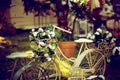 Vintage Old Garden Bicycle