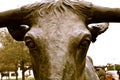 Waco statue longhorn closeup