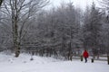 Walker on a snow covered country path - England