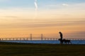 Walking The Dogs