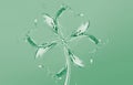 Water Four-Leaf Clover