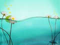 Water Line