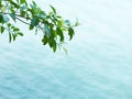 Water Texture