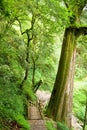 The Way Into Nature