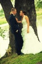 Wedding Couple On Tree