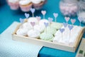 Wedding Marshmallows