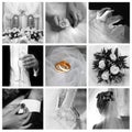 Wedding Photos