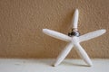 Wedding Rings On Starfish