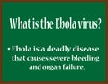 What is the Ebola virus?