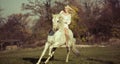 White Angel Riding A Pure Whit...