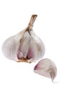 White Garlic On White Background