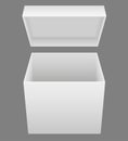 White Open Packing Box Vector ...