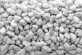 White Rock Pebbles Mineral Sto...