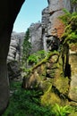 Wild Canyon, Nature Landscape