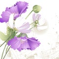 Wild Flowers In Color