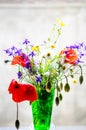 Wild Flowers