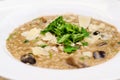 Wild mushrooms risotto and parmigiana detail Royalty Free Stock Photo