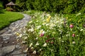 Wildflower Garden And Path To ...