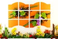 Window With Flowers