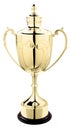 Winners trophy,gold