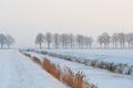 Winter Landscape