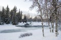 Winter Landscape