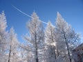 Winter Landscape Of Nature.