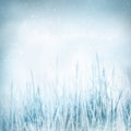Winter Nature Background With...