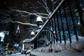 Winter In New York City