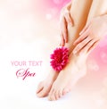 Womans Feet And Hands