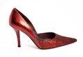 Women Shoe