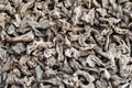 Wood Chips Background