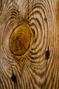 Wood Knot Texture