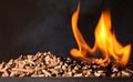 Wood Pellet