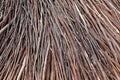 Wood Stick Background