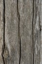 WOOD TEXTURE