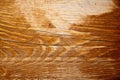 Wood Texture