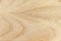 Wood Texture Ash