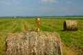 World cup trophy