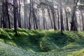 WWI Battlefield Vimy Ridge