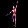 X-ray Illustration Of Anatomy,...