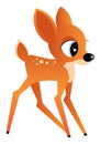 Young Deer Illustration