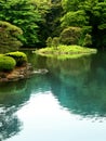 Zen Lake In A Tokyo Garden