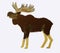 Moose